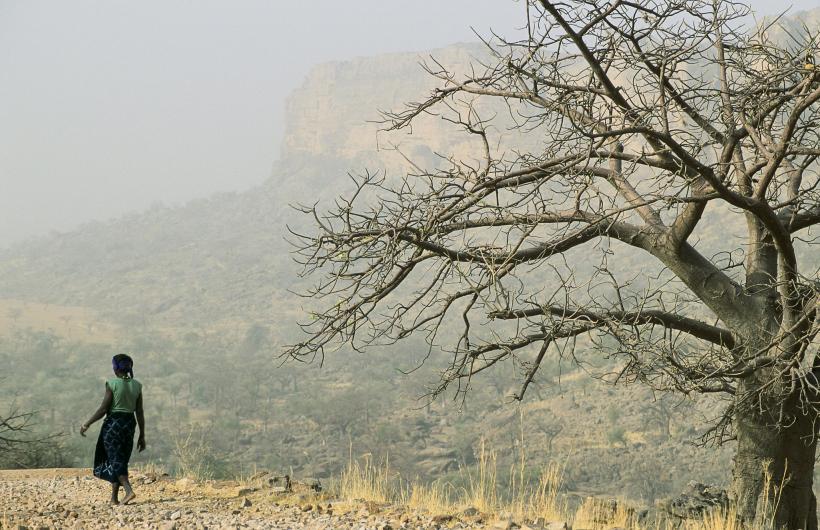 Driving Innovation and Resilience: Olivier Mahul Reflects on a Decade of Transforming Disaster Risk Finance at the Insurance Development Forum